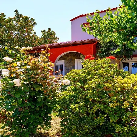 Vila Aelia *